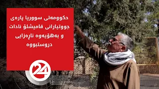 حکوومەتی سووریا پارەی جووتیارانی قامیشلۆ نادات و بەهۆیەوە ناڕەزایی دروستبووە