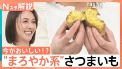 ねっとり派？ホクホク派？ 甘さ引き立つ冬のさつまいも…“まろやか系”も登場、農家直伝！さつまいもの選び方【Nスタ解説】｜TBS NEWS DIG