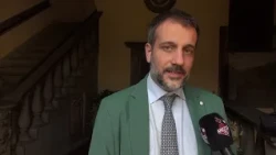 In Arezzo, nearly 3,000 municipal olive trees left neglected: Francesco Romizi's proposal