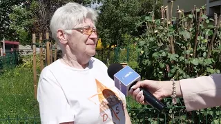Controversial pruning on Cyprysowa Street leaves only stumps. Housing association refutes allegat...