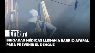Medical brigades visit Ayapal neighborhood to strengthen dengue prevention