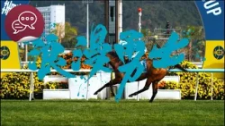 香港故事《尾巴會說話》#8：浪漫勇士