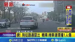 衰! 狗從路邊竄出 轎車.機車連環撞1人傷|記者 何正鳳 薛仁宏│新聞一把抓20260405│三立新聞台 衰! 狗從路邊竄出 轎車.機車連環撞1人傷|記者 何正鳳 薛仁宏│新聞一把抓20260405│三立新聞台