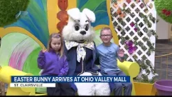 Пасхальный кролик прибыл в торговый центр Ohio Valley Mall.