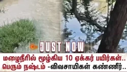 மழைநீரில் மூழ்கிய 10 ஏக்கர் பயிர்கள்..பெரும் நஷ்டம் -விவசாயிகள் கண்ணீர் | Madurai | Tirumangalam