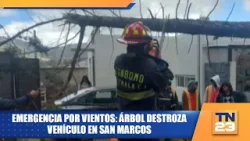 Emergencia por vientos: árbol destroza vehículo en San Marcos Emergencia por vientos: árbol destroza vehículo en San Marcos