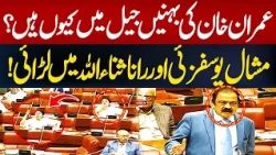 Heated Clash Between Mashal Yousafzai and Rana Sanaullah In Senate | Hum News | Pakistan