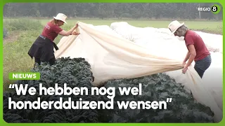 Eerste Herenboerderij van de Achterhoek wil groeien: ‘We hebben nog honderdduizend wensen’