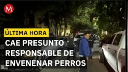 Suspect Arrested for Poisoning Dogs in Cuauhtémoc