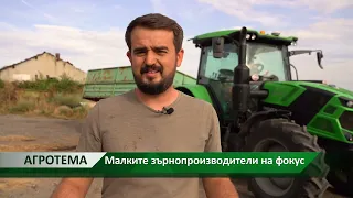 Агротема: Малките зърнопроизводители на фокус