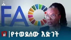 ኢትዮጵያ በግብርና ምርታማነት አበረታች ጉዞ ላይ ናት፦  በኢትዮጵያ የፋኦ ተወካይ ፋራይ ዚሙድዚ Etv | Ethiopia | News zena