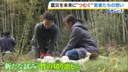 「追悼の灯りを絶やしてはいけない」阪神・淡路大震災の象徴『竹灯籠』存続へ…震災後に生まれた学生らが“竹の切り出し”行い３１年分の想いつなぐ「若い力が役に立てれば」（2026年1月16日）