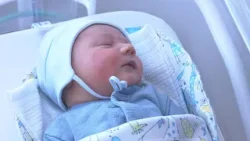 Prví Novovešťania v roku 2026