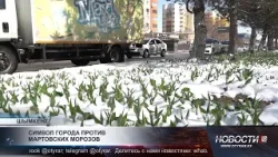 Символ города против мартовских морозов