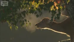 Season's Coldest Morning Across the Country; Chilly Autumn Day Ahead—Watch Out for Sudden Drop in...