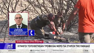 Φωτιά Καλού Χωριού: Σανίδα σωτηρίας στην πανίδα της καμένης γης πρόσφεραν οι κυνηγοί