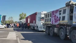 VOCI DALLA PROTESTA, A SAN MARCO ARGENTANO 47 TIR