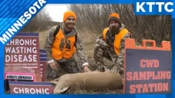 Minnesota deer hunters face new regional rule