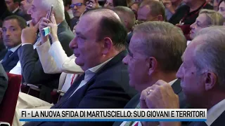 Forza Italia, la nuova sfida di Martusciello: Sud, giovani e territori