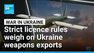Ukrainian arms producers warn competitive edge eroding due to stringent export licence rules