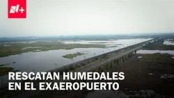 Ejidatarios de Atenco recuperan cuerpos de agua en terrenos del aeropuerto
