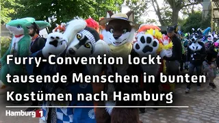 Eurofurence Convention 2026: Thousands from the furry scene celebrate once again in Hamburg