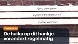 Óngerwaeg ziet een haiku op een bankje in Stevensweert