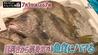 "Hanamaru Daikichi Goes! A Divine Lesson That Even Adults Will Get Hooked On" "From Connoisseursh...
