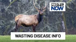 ODFW addresses rumors of Chronic Wasting Disease