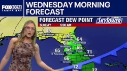 Tampa weather | Wednesday morning forecast