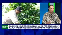 Boosting Indonesian Coffee Exports: Are Local Farmers Prospering?