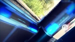 НОВОСТИ ДНЯ. Программа «Губерния», 17 февраля