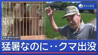 なぜ？猛暑でクマ相次ぐ出没　新米が育つ水田を疾走【スーパーJチャンネル】(2026年7月24日)