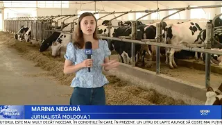 Milk Subsidies for Producers: Farmers Can Submit Applications Until August 14