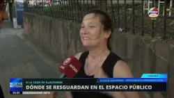 Alerta alacranes: cómo actuar ante la aparición de alguno