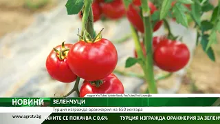 ЗЕЛЕНЧУЦИ: Турция изгражда оранжерия на 650 хектара