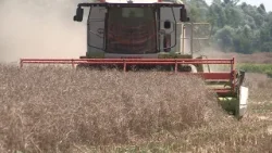 Idén is önzetlenek voltak a zalai gazdák