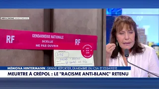 Mémona Hintermann: "Anti-white racism served as fuel. It guided the knife"