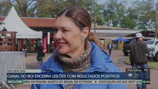 Feicorte 2026 bateu recorde de estrutura e fez o julgamento de 18 raças