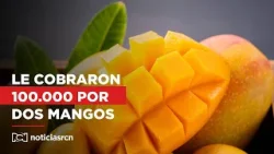 En video: el vendedor que cobró $100.000 por dos mangos en Cartagena tuvo que pedir disculpas