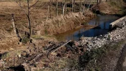 Vërshimet shkaktuan dëme edhe në bujqësi