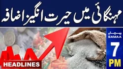 Samaa News Headlines 7PM | Inflation Hike In Pakistan | 19 April 2024 | SAMAA TV