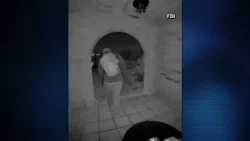 Nancy Guthrie update: FBI releases video of possible subject