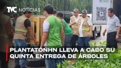 PlantatónHN successfully carries out its fifth tree distribution event in Tegucigalpa