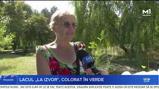 Green water at the "La Izvor" lake in Chișinău. Termoelectrica: "It poses no danger"