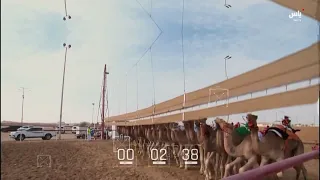 برنامج المركاض | يوم 29 سبتمبر 2026