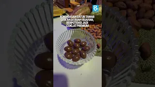 KOKO BAGAN DATUK TAWAR CITA RASA BUAH BUAHAN, BERPOTENSI JADI COKLAT PREMIUM