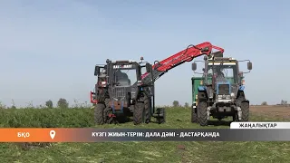 КҮЗГІ ЖИЫН-ТЕРІМ: ДАЛА ДӘМІ - ДАСТАРҚАНДА