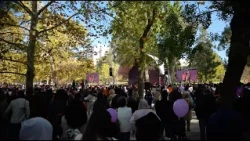 The Love Walk 2026