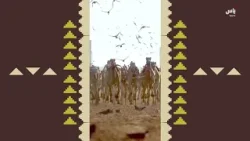 رسالة مهرجان خادم الحرمين الشريفين للهجن | يوم 29 يناير 2026 رسالة مهرجان خادم الحرمين الشريفين للهجن | يوم 29 يناير 2026